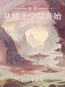主角从骑士到巫师的小说