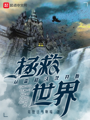 从霍格沃茨开始拯救世界 小说
