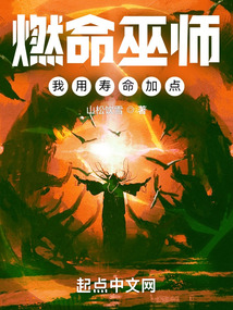 燃命巫师,我用寿命加点小说