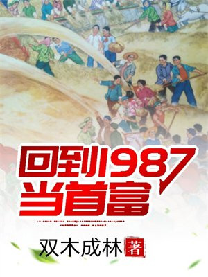 回到1987当首富沈自强