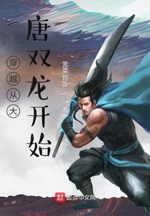 穿越从大唐双龙开始小说