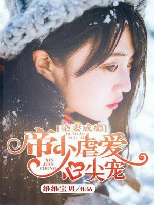 染婚成瘾 小说
