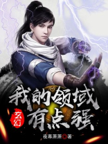 我的领域是什么