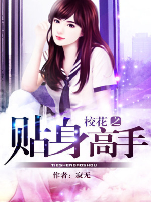 校花之贴身高手TXT下载