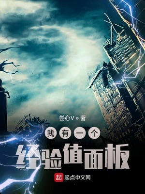 我有一个经验值面板 小说