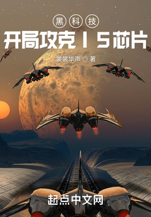黑科技:开局攻克I5芯片 小说