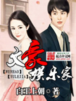 文豪娱乐家小说