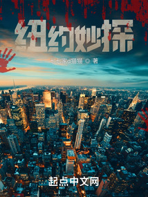 纽约的侦探读后感