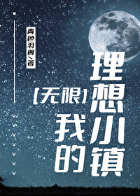 我的理想小镇无限TXT