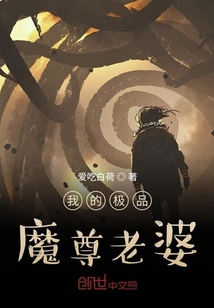 我的魔尊老婆 小说