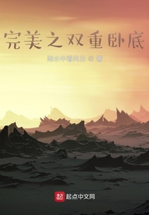 完美之双重卧底小说
