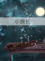 香江之小族长