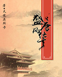 盛唐风华作者 小说