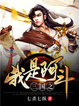 三国之我是阿斗 七杀七纵小说