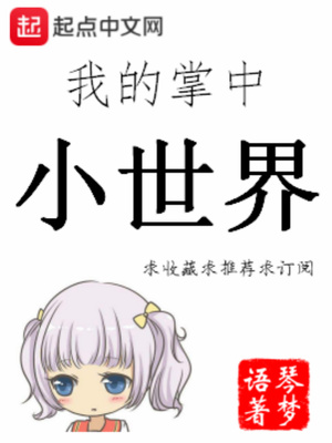 我的掌中小世界 小说