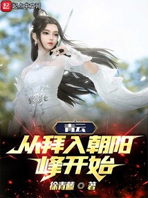 青云从拜入朝阳峰开始TXT
