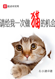 给我做我的猫