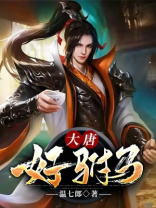 大唐好驸马TXT下载