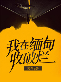 缅甸收废品怎么样