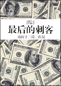 综最后的刺客格格党