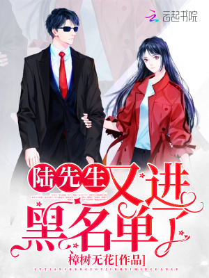 陆先生又进黑名单了小说