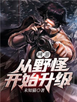 刷怪升级的网游