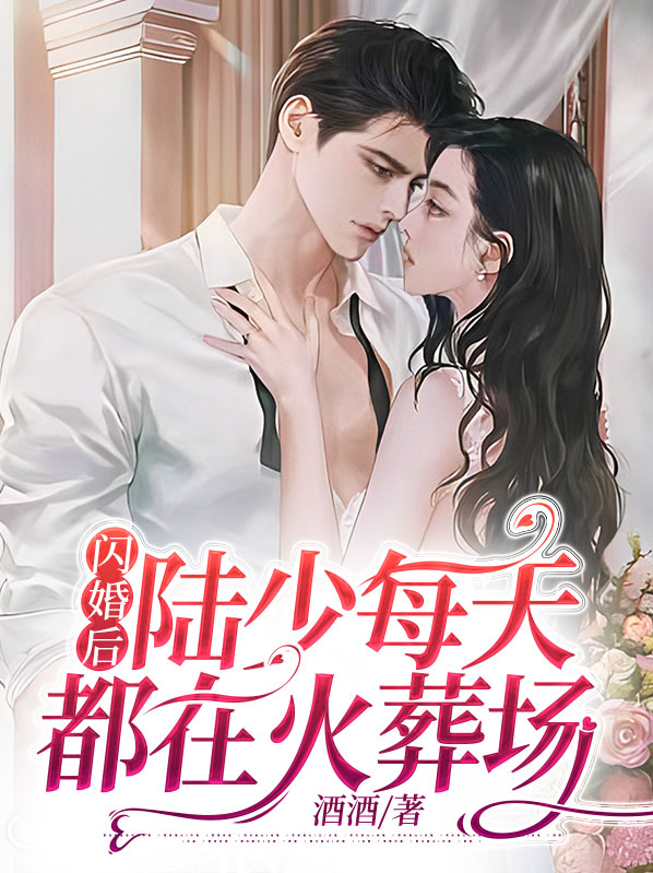 闪婚蜜爱,陆少夫人好意外免费阅读