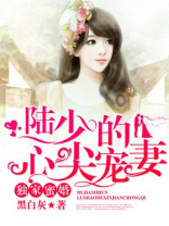 独家蜜婚,陆少的心尖爱妻
