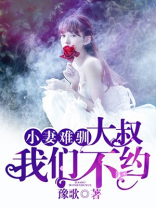 小妻难训:大叔,我们约不约txt