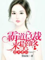 忠犬老公:霸道总裁来壁咚