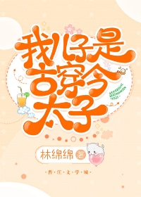 我儿子是古穿今太子晋江