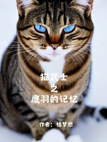 猫武士鹰击
