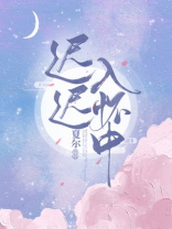 迟迟入怀中 免费 小说