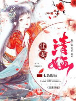 佳妻清O七色假面的小说