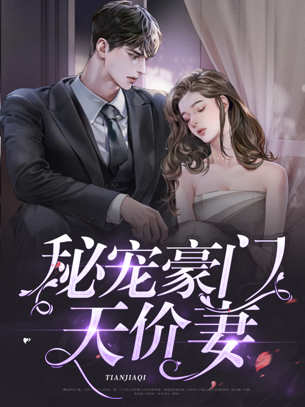 豪门总裁的天价继妻小说