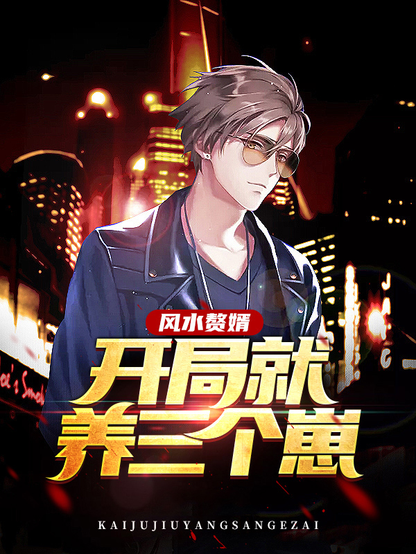 小说风水女婿