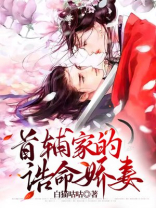 农门首辅大人