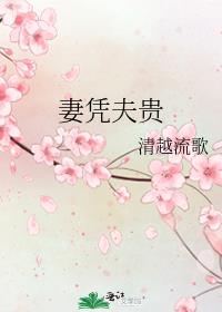 妻凭夫贵完整版阅读