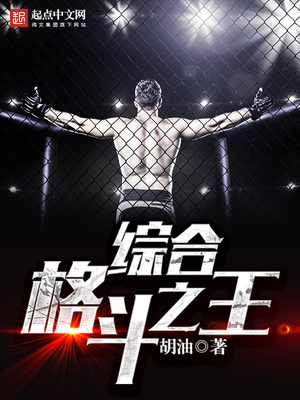 综合格斗之王起点