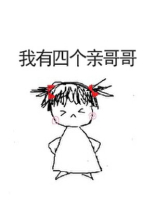 我有四个亲哥哥一碗叉烧格格党