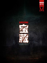 到国外挖宝藏的小说