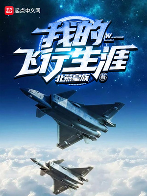 我的飞行生涯 第549章