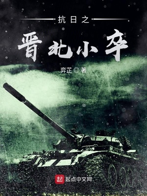 抗日之晋北小卒笔趣阁