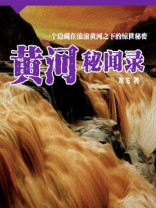 黄河秘闻录龙飞