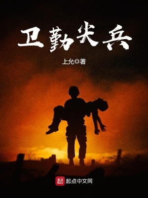 卫勤尖兵是什么意思