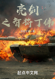 亮剑之智将丁伟TXT下载