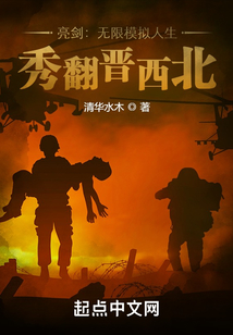 亮剑之无限子弹