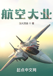 航空大业小说