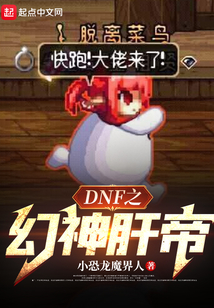 dnf之幻神肝帝差不多的小说