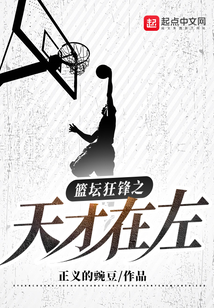 篮坛狂锋之天才在左无广告小说